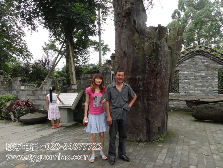 協(xié)會(huì)成員